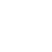 icon demo9